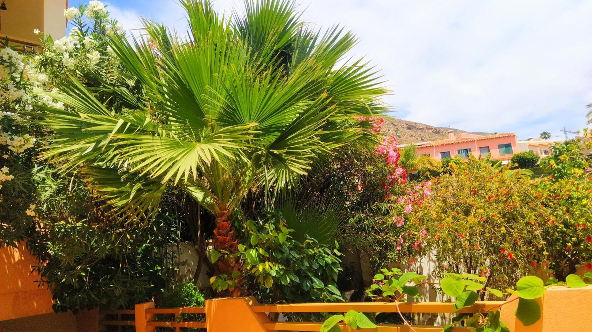 Deluxe Garden Flat Near Terra-mítica *